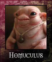 Homoculus