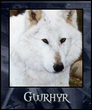 Gwrhyr - Wolf Shaped Mystical Guide Thingy